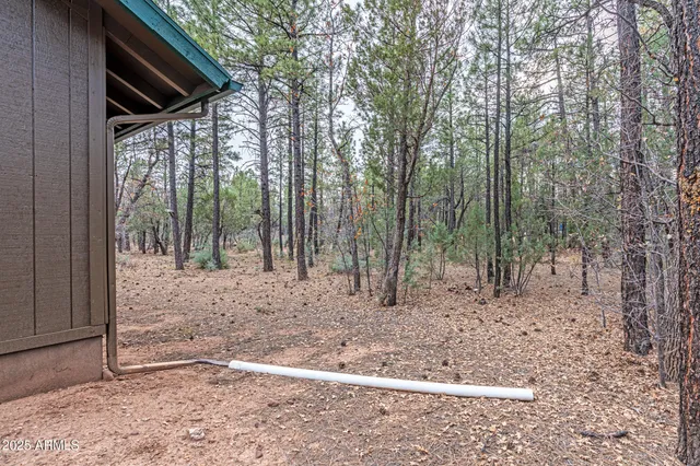 a view of house with trees in the background