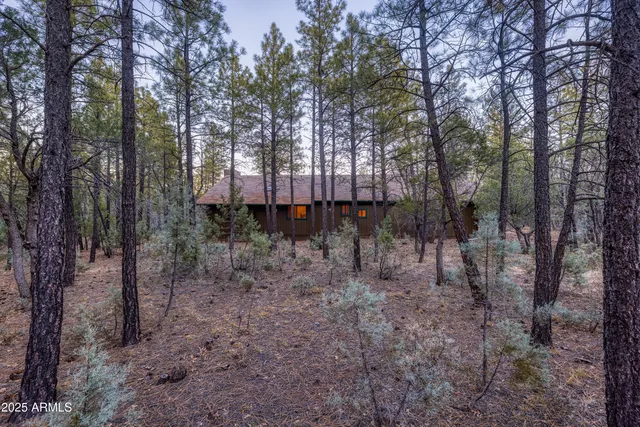 a view of a backyard with trees