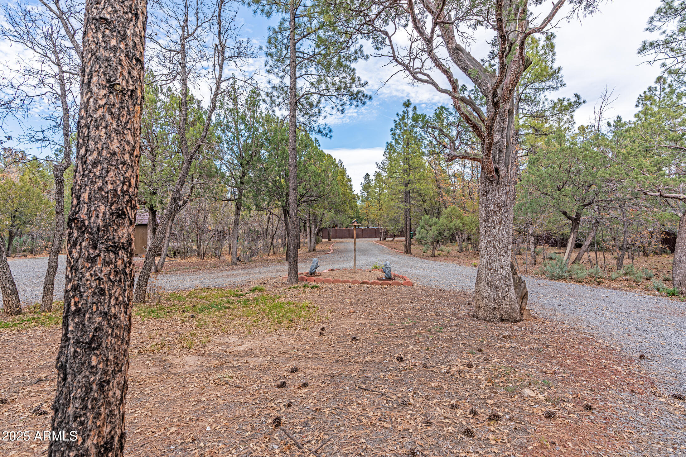 3400 Goodwill Lane Lakeside, AZ 85929 - Photo 41 of 43 a view of a tree in the middle of a yard