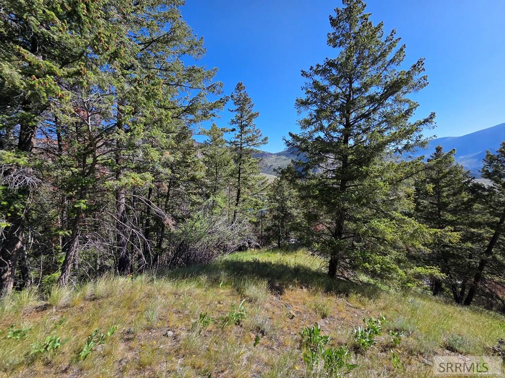 21 Pinetree Drive Salmon, ID 83467 - Photo 30 of 71