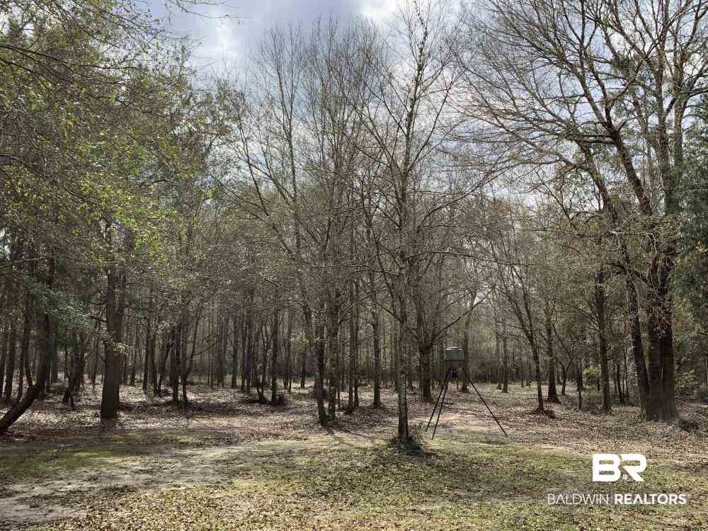 17525 Joe Gottler Road Elberta, AL 36530 - Photo 43 of 44