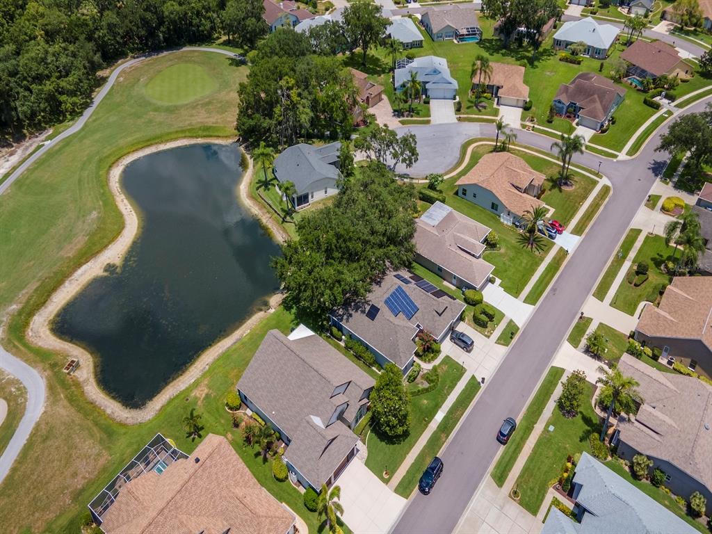 9703 Springmeadow Drive New Port Richey, FL 34655 - Photo 60 of 78 Gallery Image 60