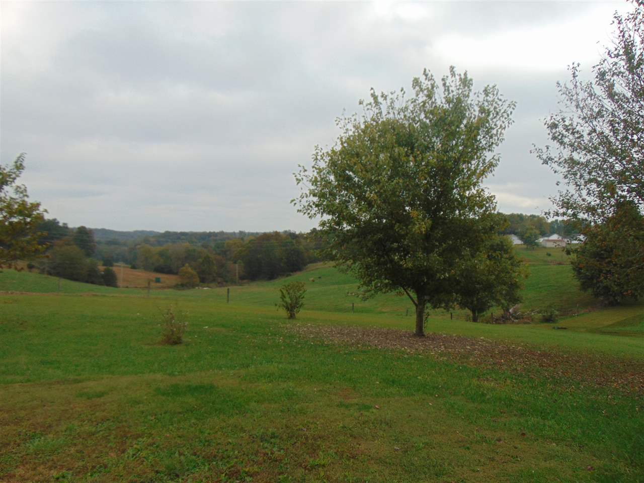 1722 Halifax Road Scottsville, KY 42164 - Photo 15 of 17 Gallery Image 15
