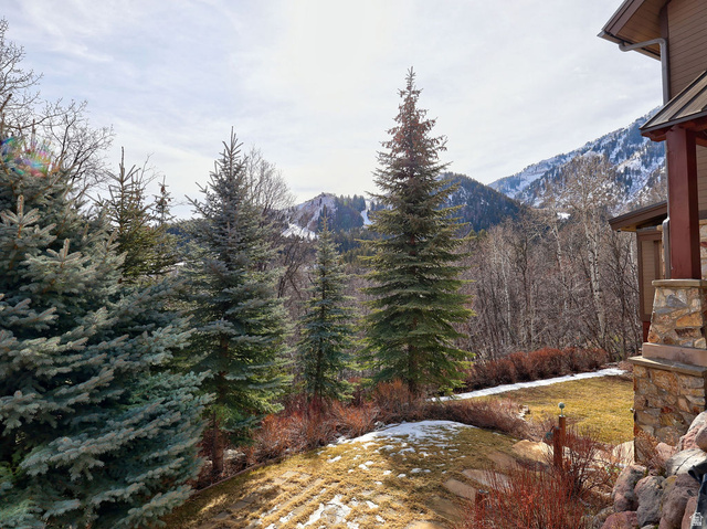 8807 Timphaven Road Sundance, UT 84604 - Photo 19 of 86
