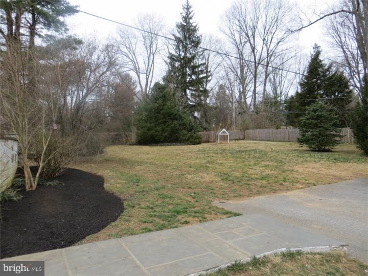 65 Conestoga Road Devon, PA 19333 - Photo 8 of 25 Back Yard