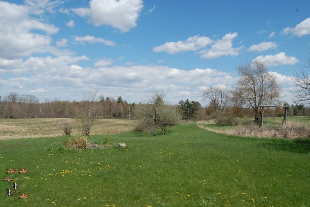 7758 North Vining Road Lakeview, MI 48850 - Photo 17 of 21 17 Apple Trees and Buck Pole