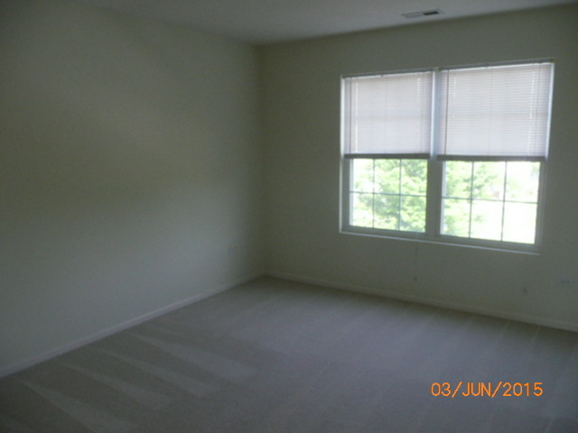 337 Stonegate Road Bolingbrook, IL 60440 - Photo 11 of 14