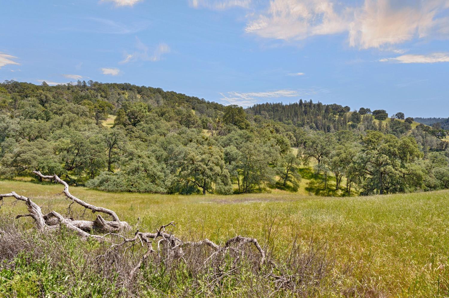 0 Bayne Road Garden Valley, CA 95633 - Photo 42 of 67 Gallery Image 42