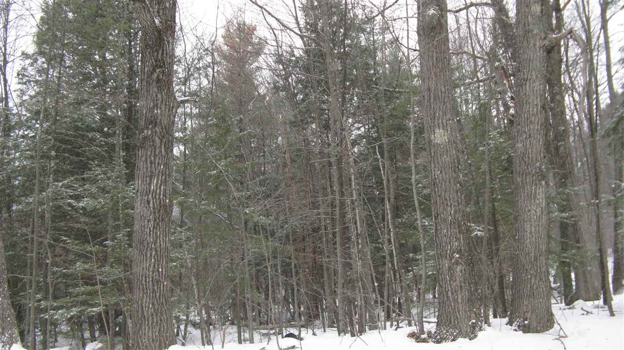 Lot 34-1 Gilmans Corner Road Alton, NH 03809 - Photo 14 of 17