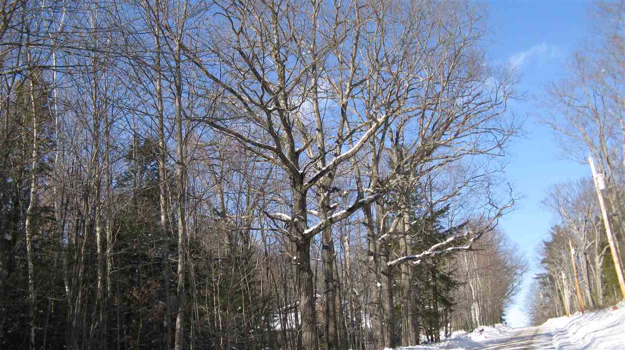Lot 34-1 Gilmans Corner Road Alton, NH 03809 - Photo 8 of 17