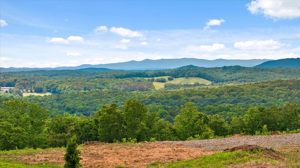 Lot 108 Twisted Oak Road Talking Rock, GA 30175 - Photo 7 of 29