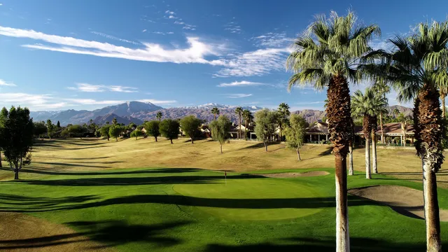a group of potted plants sitting in front of a building