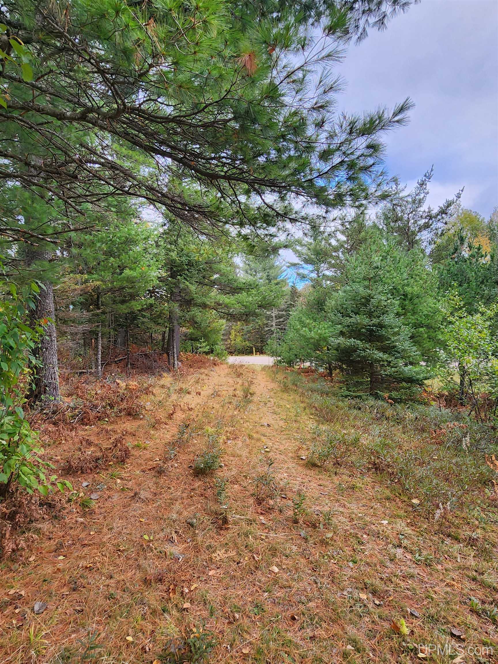 1040 River Ridge Drive Ishpeming, MI 49849 - Photo 15 of 21 Gallery Image 15