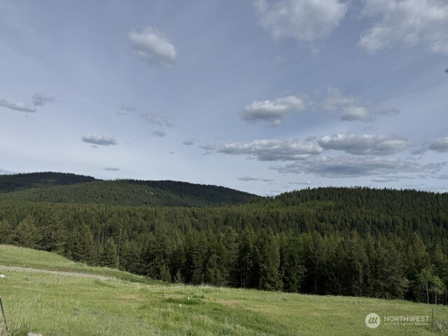 106 Bartroff Road Oroville, WA 98844 - Photo 33 of 38