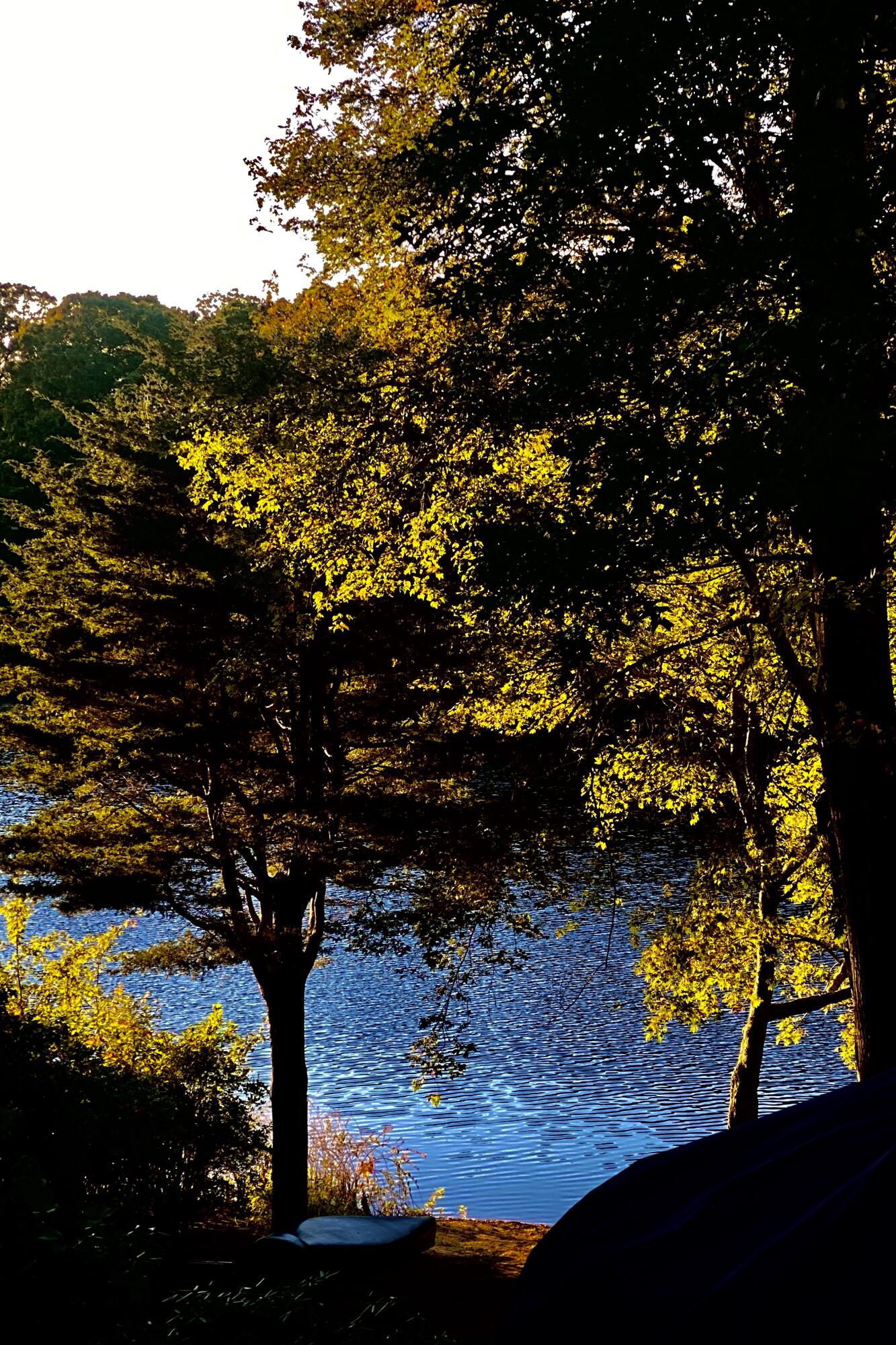 243 Tower Hill Road Osterville, MA 02655 - Photo 26 of 28 20201009_212353398_iOS