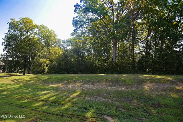 $39,900 | 155 Oak Ridge Lakes Drive, Coldwater, MS 38618