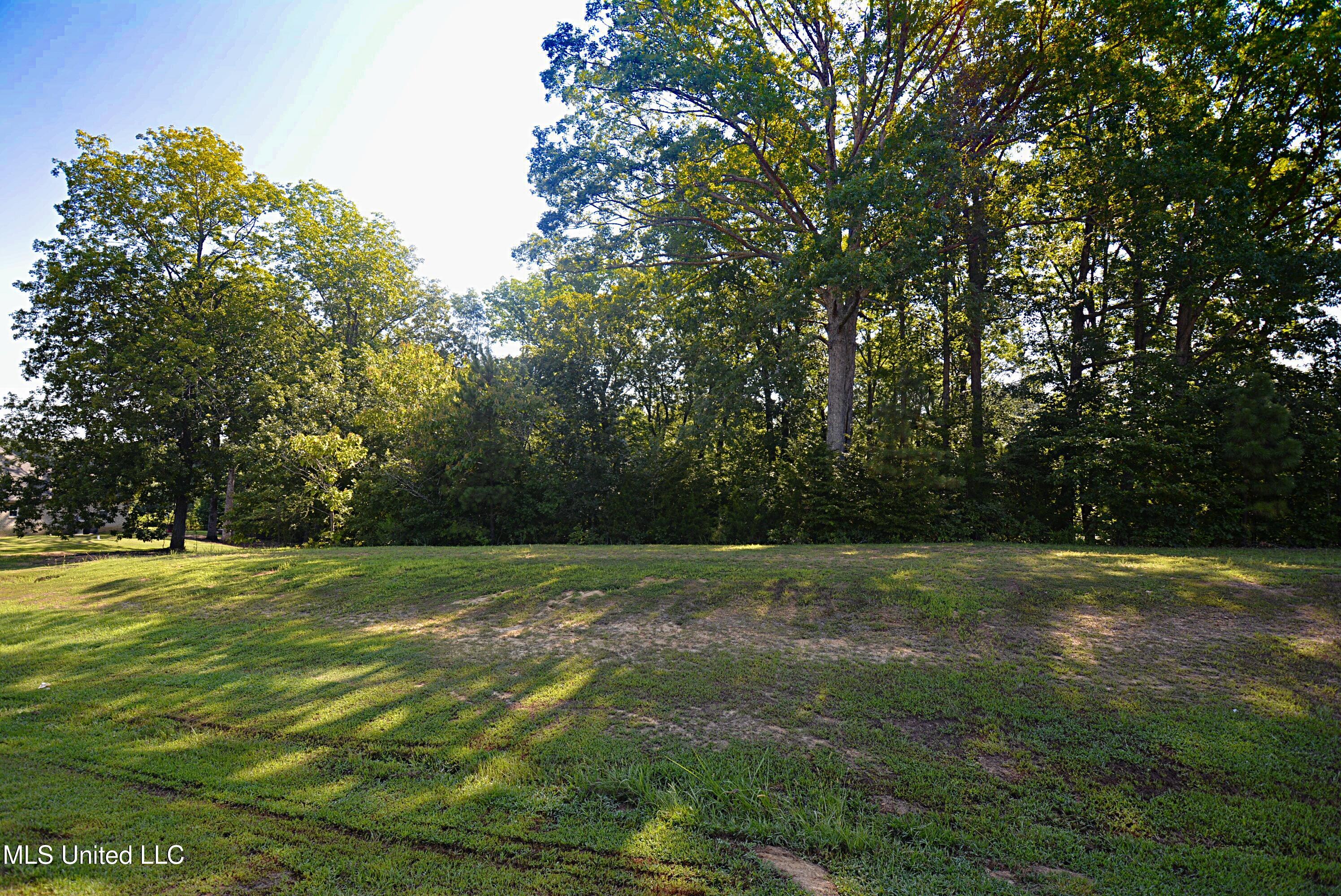 155 Oak Ridge Lakes Drive Coldwater, MS 38618 - Photo 2 of 6 View