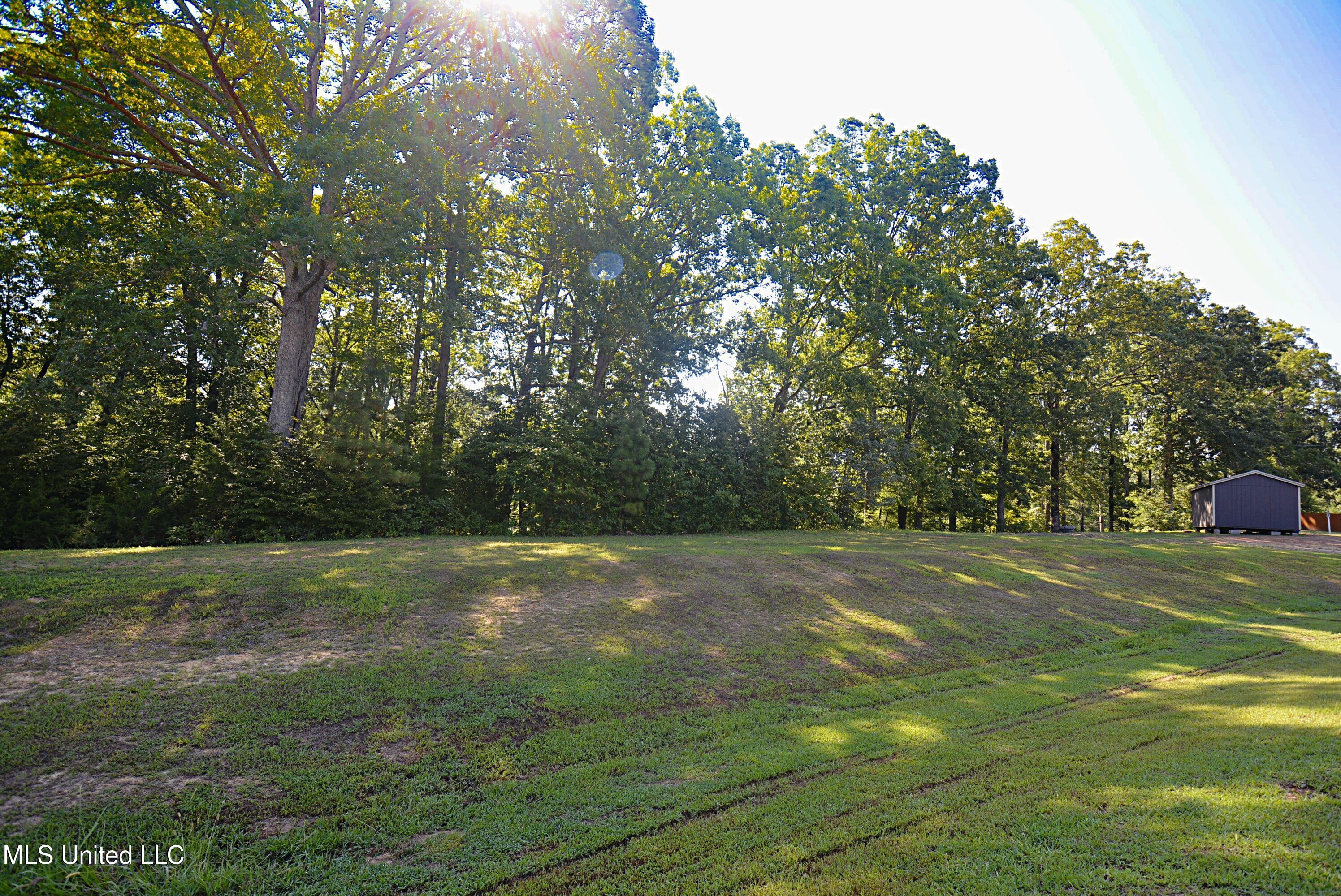155 Oak Ridge Lakes Drive Coldwater, MS 38618 - Photo 3 of 6 View