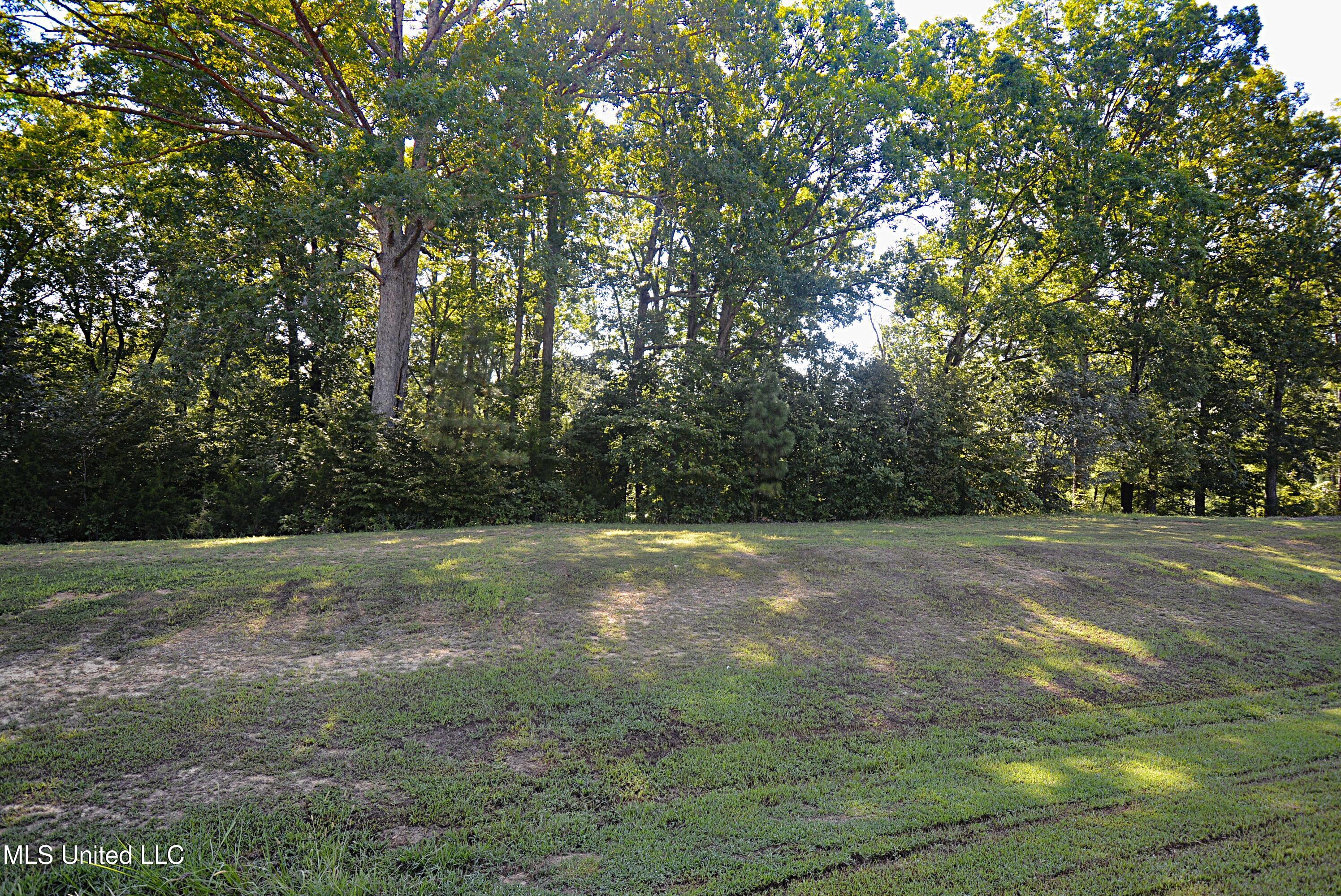 155 Oak Ridge Lakes Drive Coldwater, MS 38618 - Photo 4 of 6 View