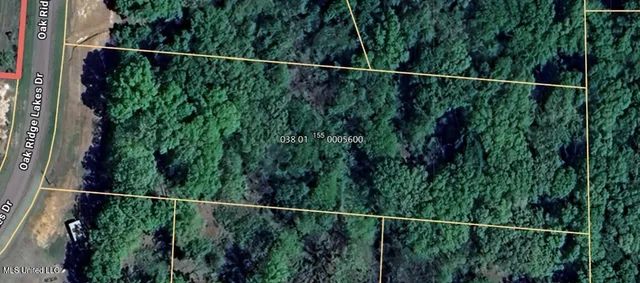 $39,900 | 155 Oak Ridge Lakes Drive, Coldwater, MS 38618