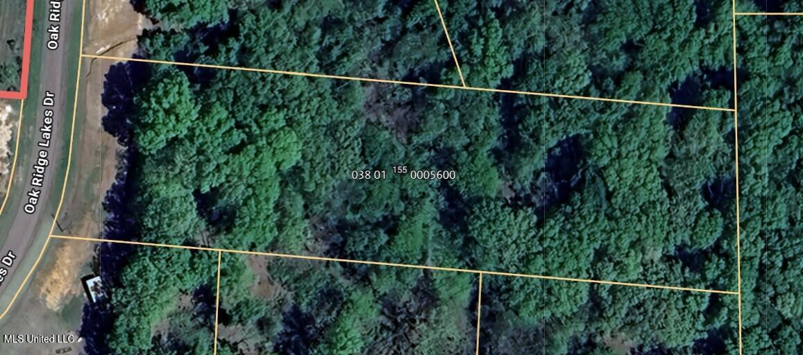 155 Oak Ridge Lakes Drive Coldwater, MS 38618 - Photo 5 of 6 155 Oak Ridge Lakes