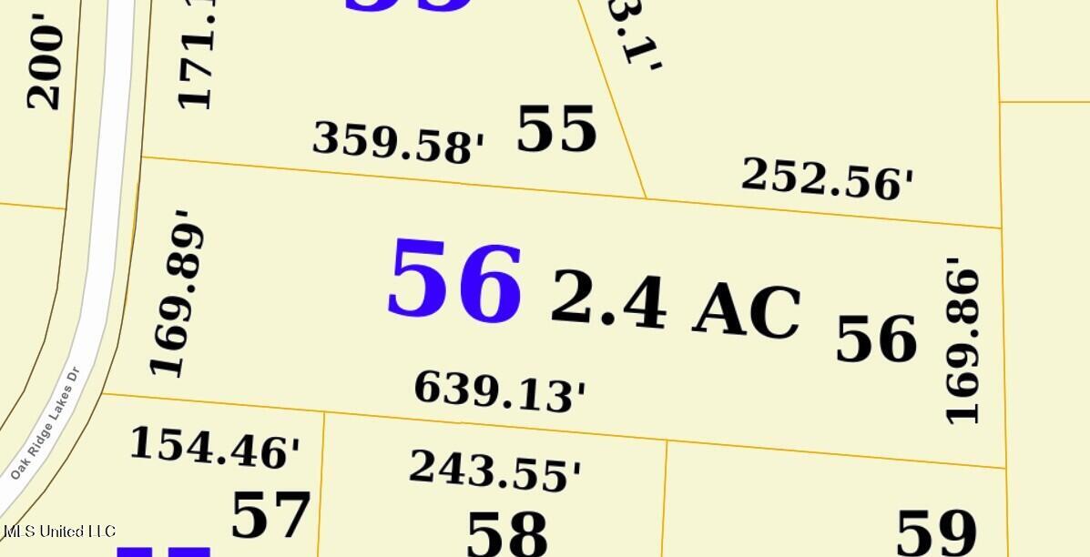 155 Oak Ridge Lakes Drive Coldwater, MS 38618 - Photo 6 of 6 155 ORL Plat