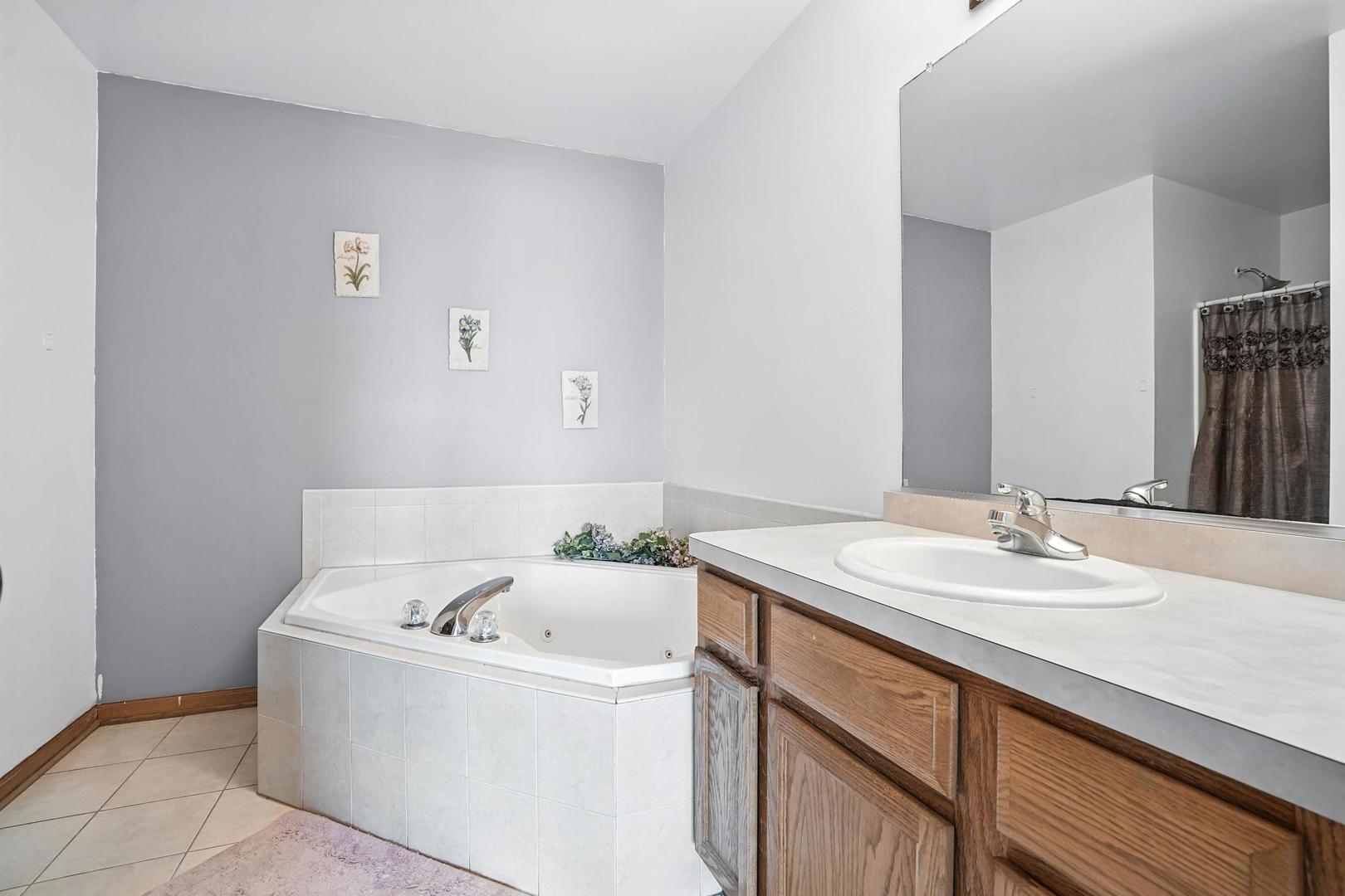 1665 Fox Hound Trail Beecher, IL 60401 - Photo 16 of 34 a bathroom with a sink and a bathtub