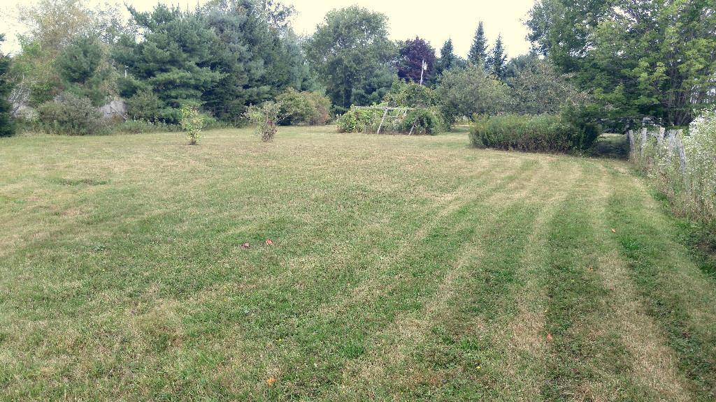 805 Old Rte One Waldoboro, ME 04572 - Photo 22 of 24 Side yard