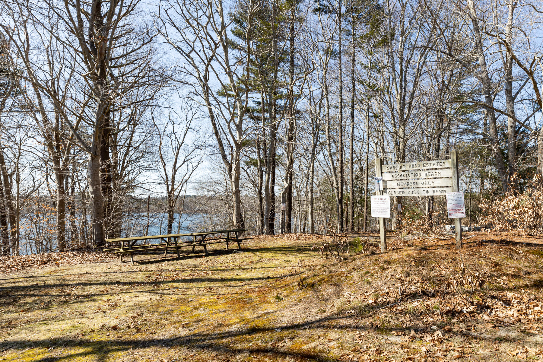 61 Edgewater Road Mashpee, MA 02649 - Photo 39 of 45 a view of large trees and a yard