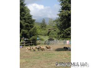 2514 Grassy Knob Road Mill Spring, NC 28756 - Photo 11 of 12 Gallery Image 11