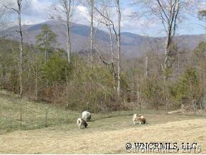 2514 Grassy Knob Road Mill Spring, NC 28756 - Photo 12 of 12 Gallery Image 12