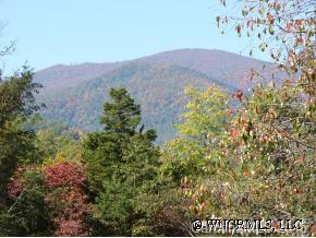 2514 Grassy Knob Road Mill Spring, NC 28756 - Photo 3 of 12 Gallery Image 3