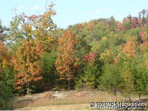 2514 Grassy Knob Road Mill Spring, NC 28756 - Photo 4 of 12 Gallery Image 4