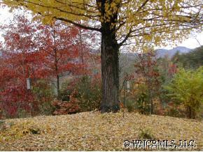 2514 Grassy Knob Road Mill Spring, NC 28756 - Photo 5 of 12 Gallery Image 5