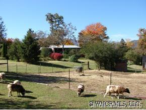 2514 Grassy Knob Road Mill Spring, NC 28756 - Photo 9 of 12 Gallery Image 9