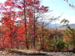 2514 Grassy Knob Road Mill Spring, NC 28756 - Photo 10 of 12 Gallery Image 10