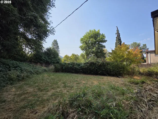 a view of backyard with wooden fence and trees