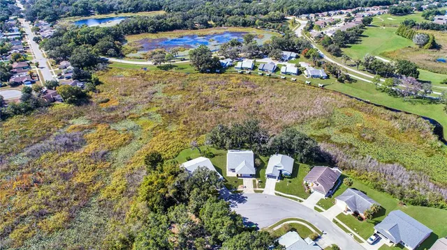 an aerial view of residential houses with outdoor space and trees