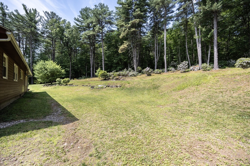 477 River Road Deerfield, MA 01342 - Photo 6 of 42