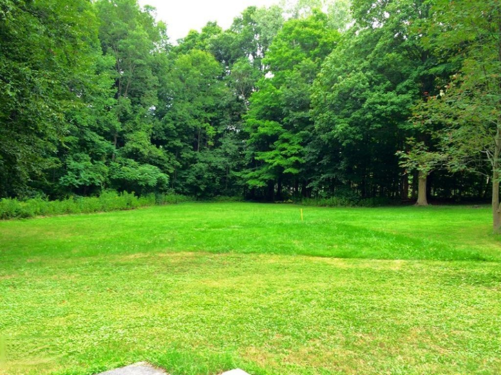 939 South Behler Road Ravenna, MI 49451 - Photo 17 of 18 Back yard
