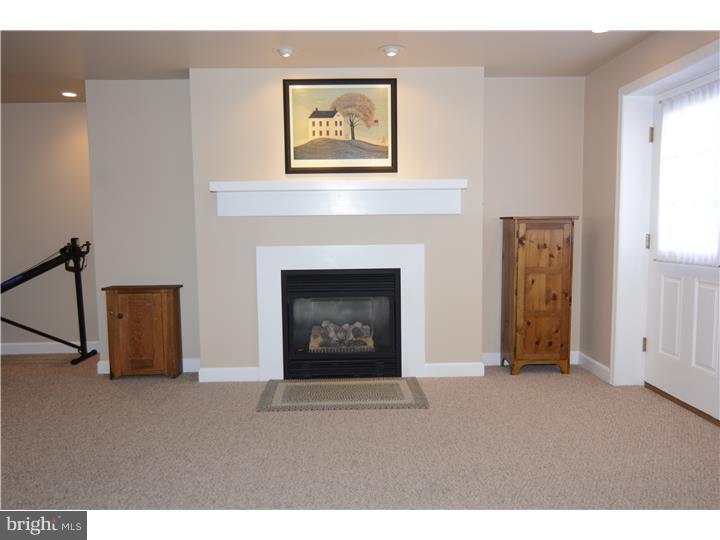 526 Maple Grove Road Mohnton, PA 19540 - Photo 18 of 25 Rec Room