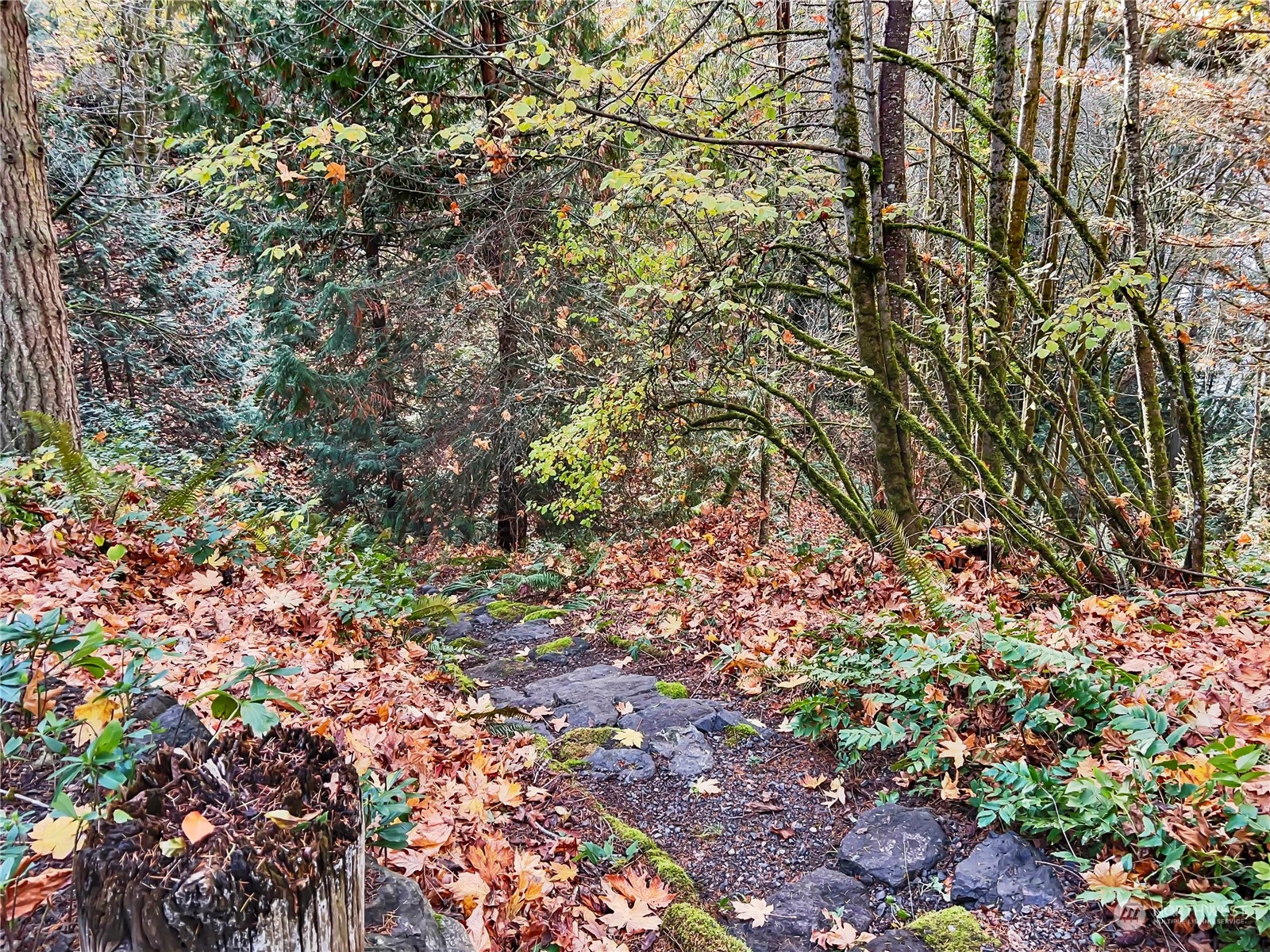8121 Hansen Road Northeast Bainbridge Island, WA 98110 - Photo 34 of 37 Gallery Image 34