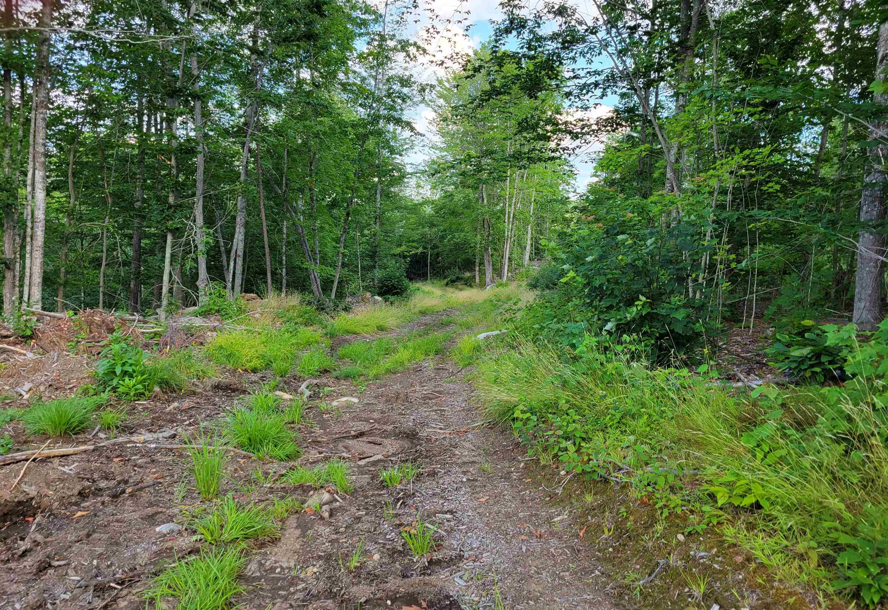0 Simon Hill Road Effingham, NH 03882 - Photo 20 of 24