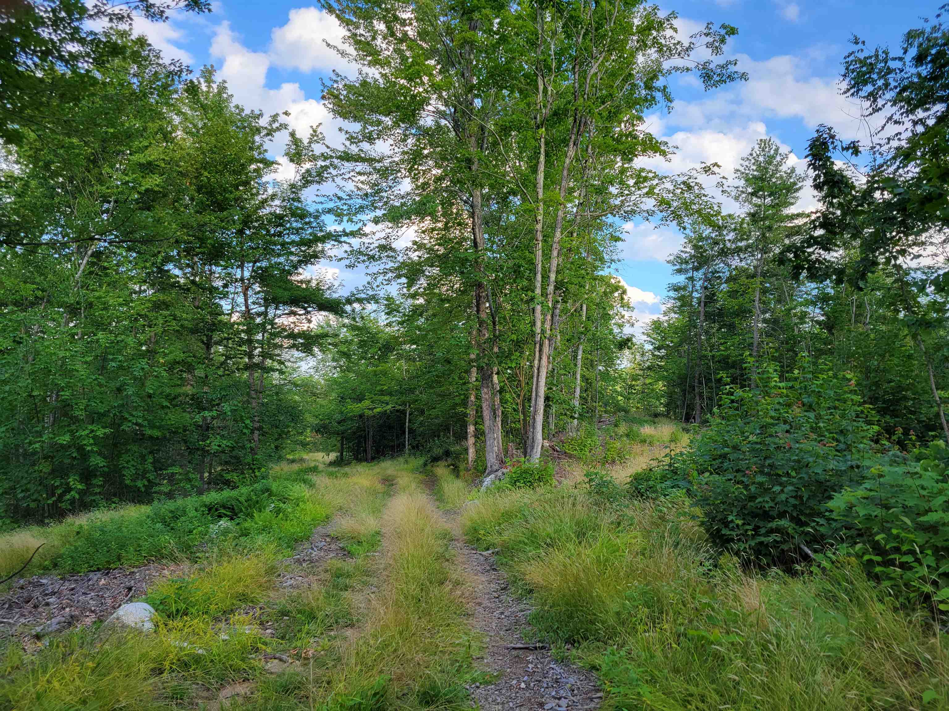 0 Simon Hill Road Effingham, NH 03882 - Photo 21 of 24