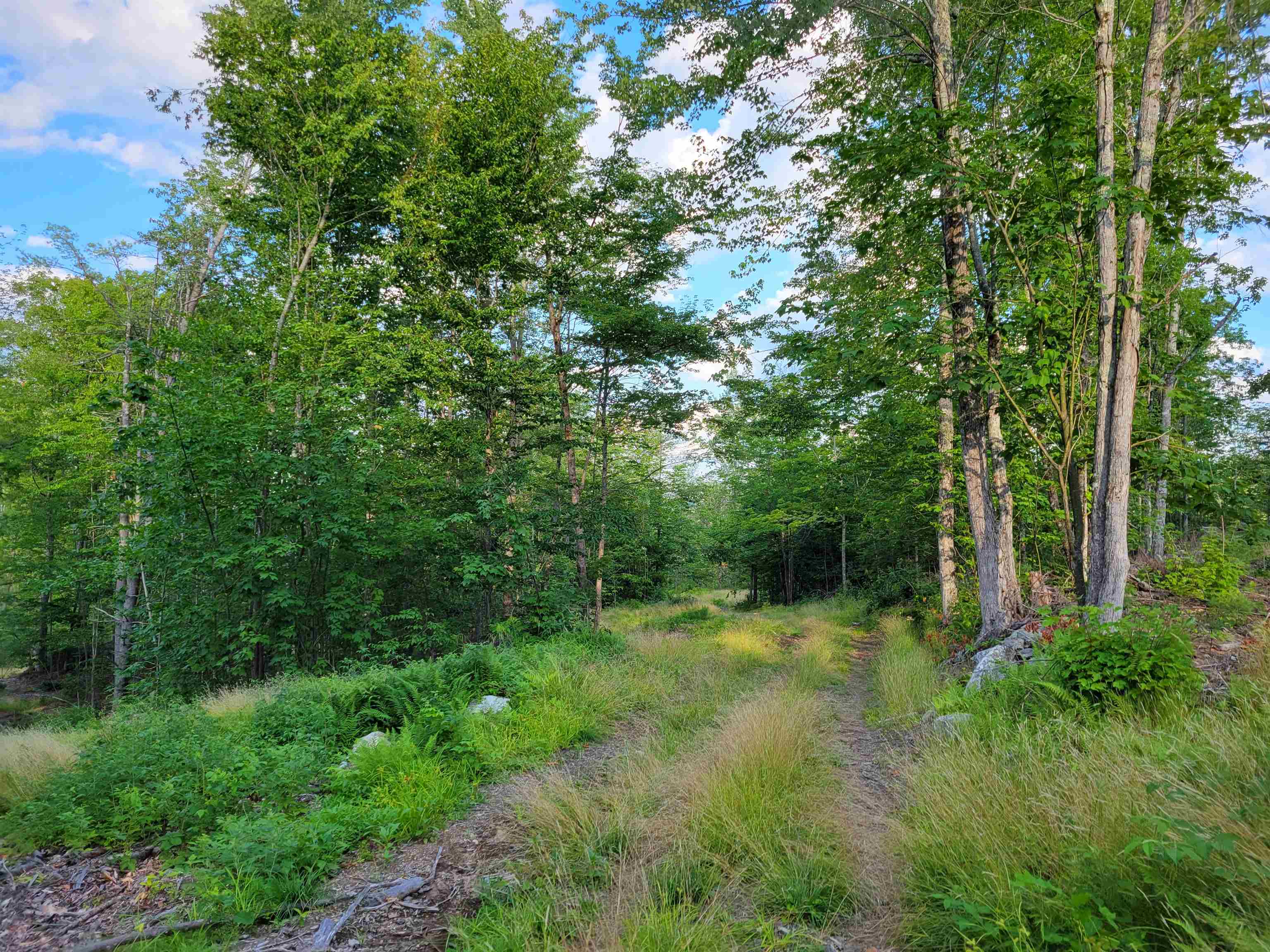 0 Simon Hill Road Effingham, NH 03882 - Photo 23 of 24