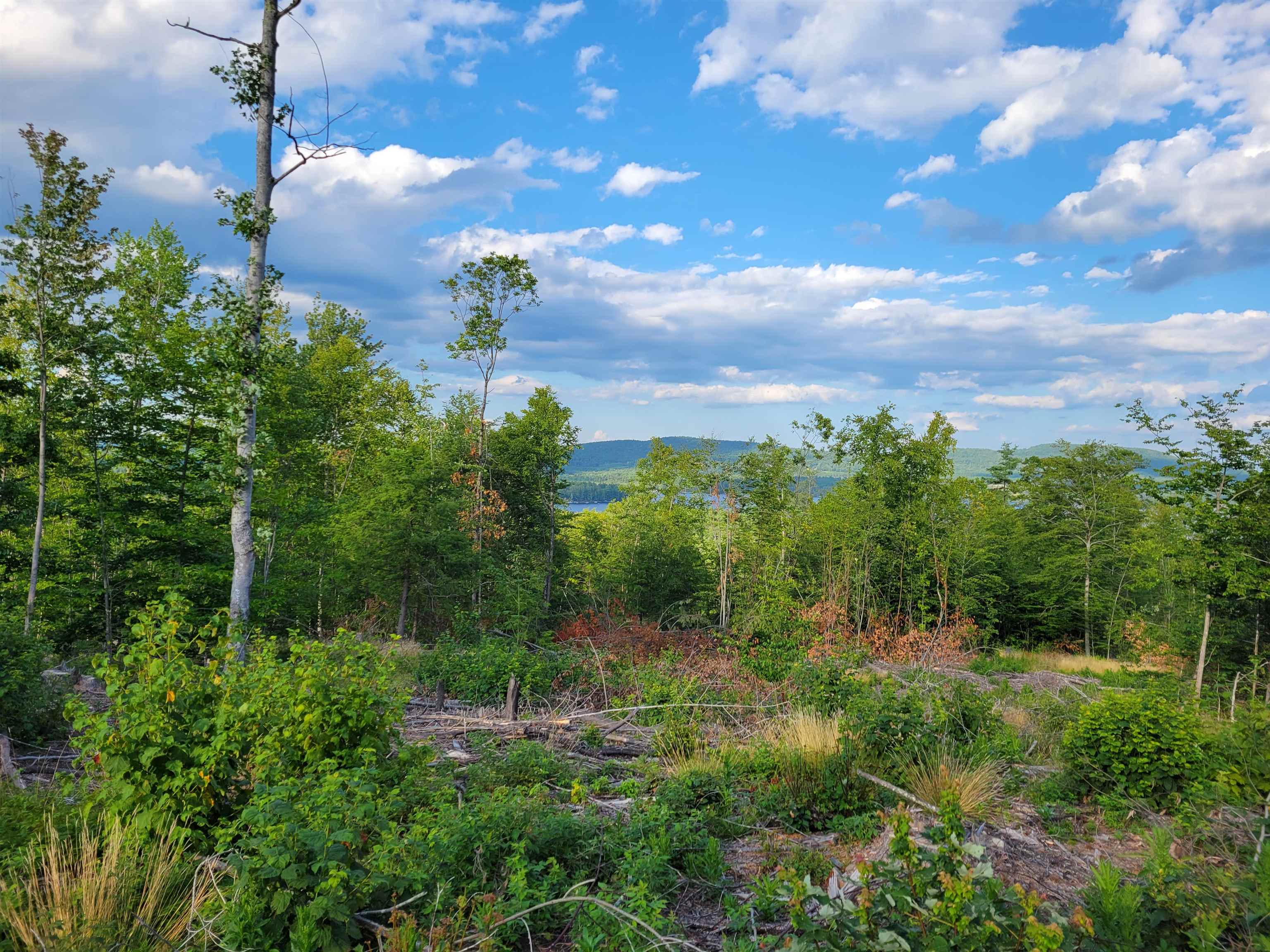 0 Simon Hill Road Effingham, NH 03882 - Photo 9 of 24