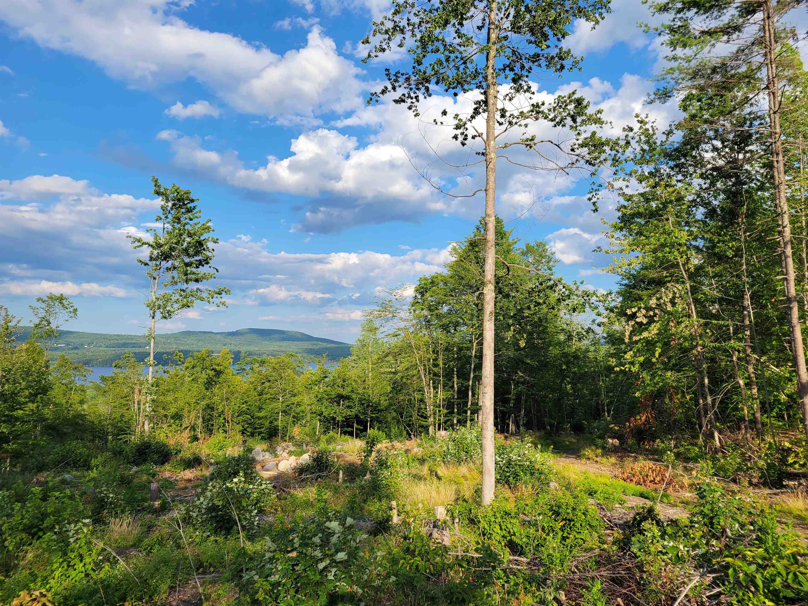 0 Simon Hill Road Effingham, NH 03882 - Photo 10 of 24