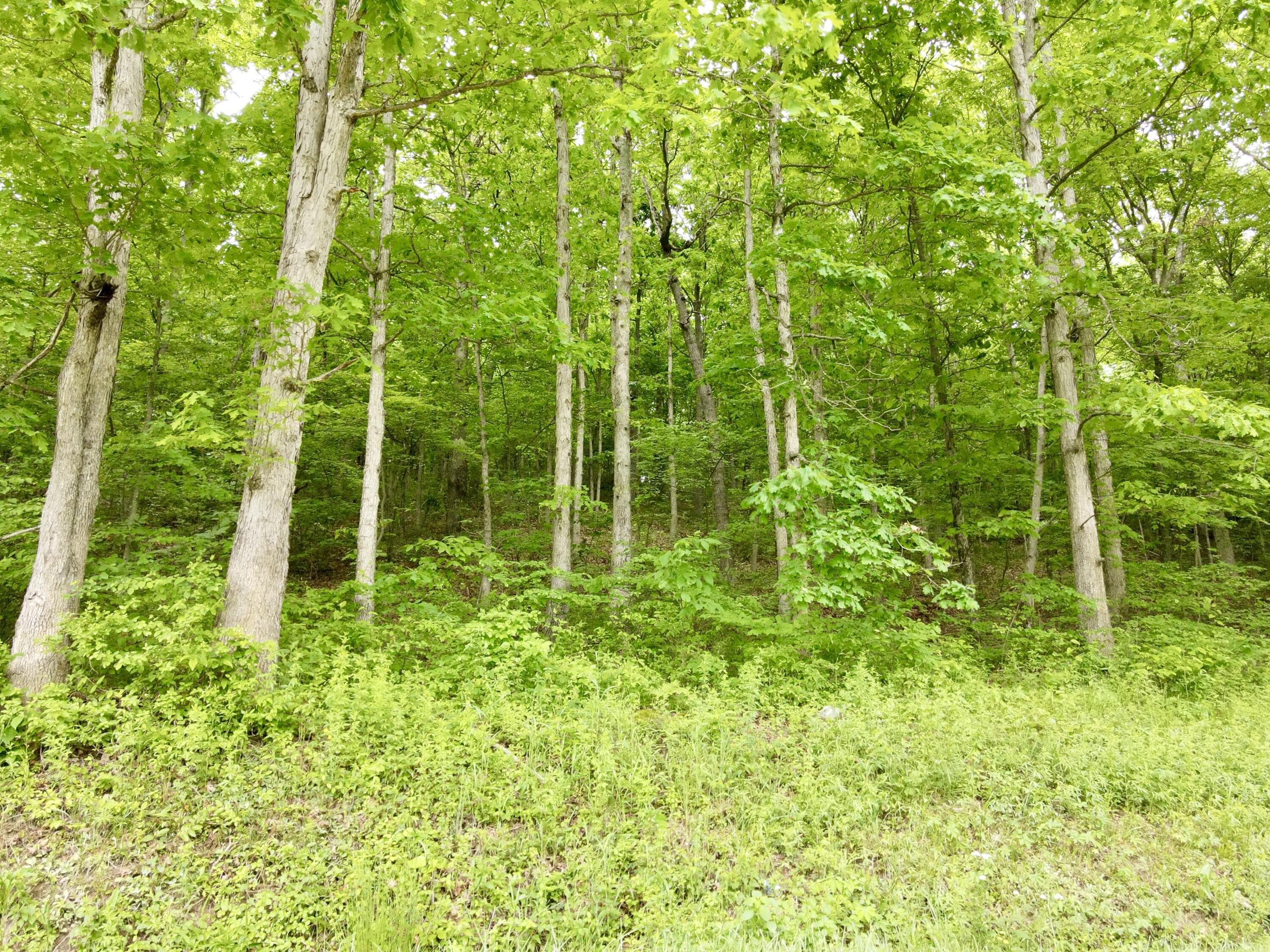 0 Buckeye Church Road Jackson, OH 45640 - Photo 2 of 4 2. Buckeye Church Land