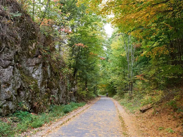 $339,000 | 20 Clarke Street, Unit 1, Burlington, VT 05401