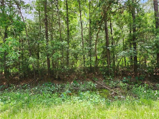 791 Buck Run Pearl River, LA 70452 - Photo 1 of 1